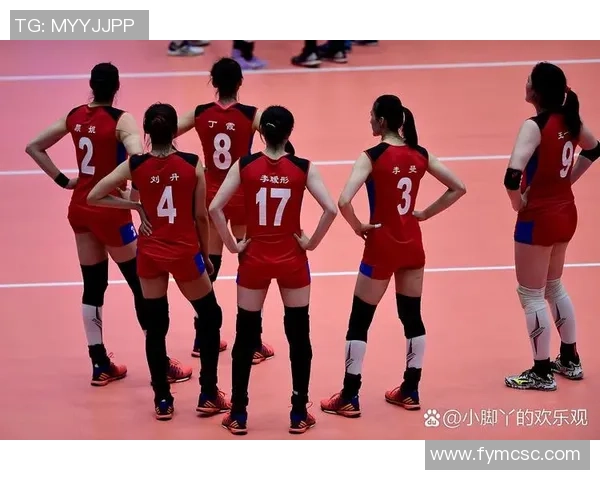 深圳排球队团队协作深度解析与其他球队的对比研究